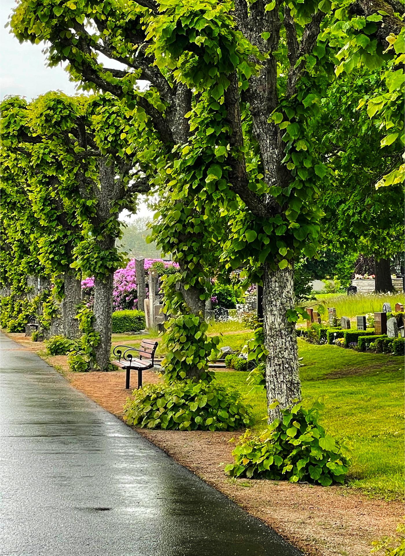 Vämö Kyrkogård Karlskrona